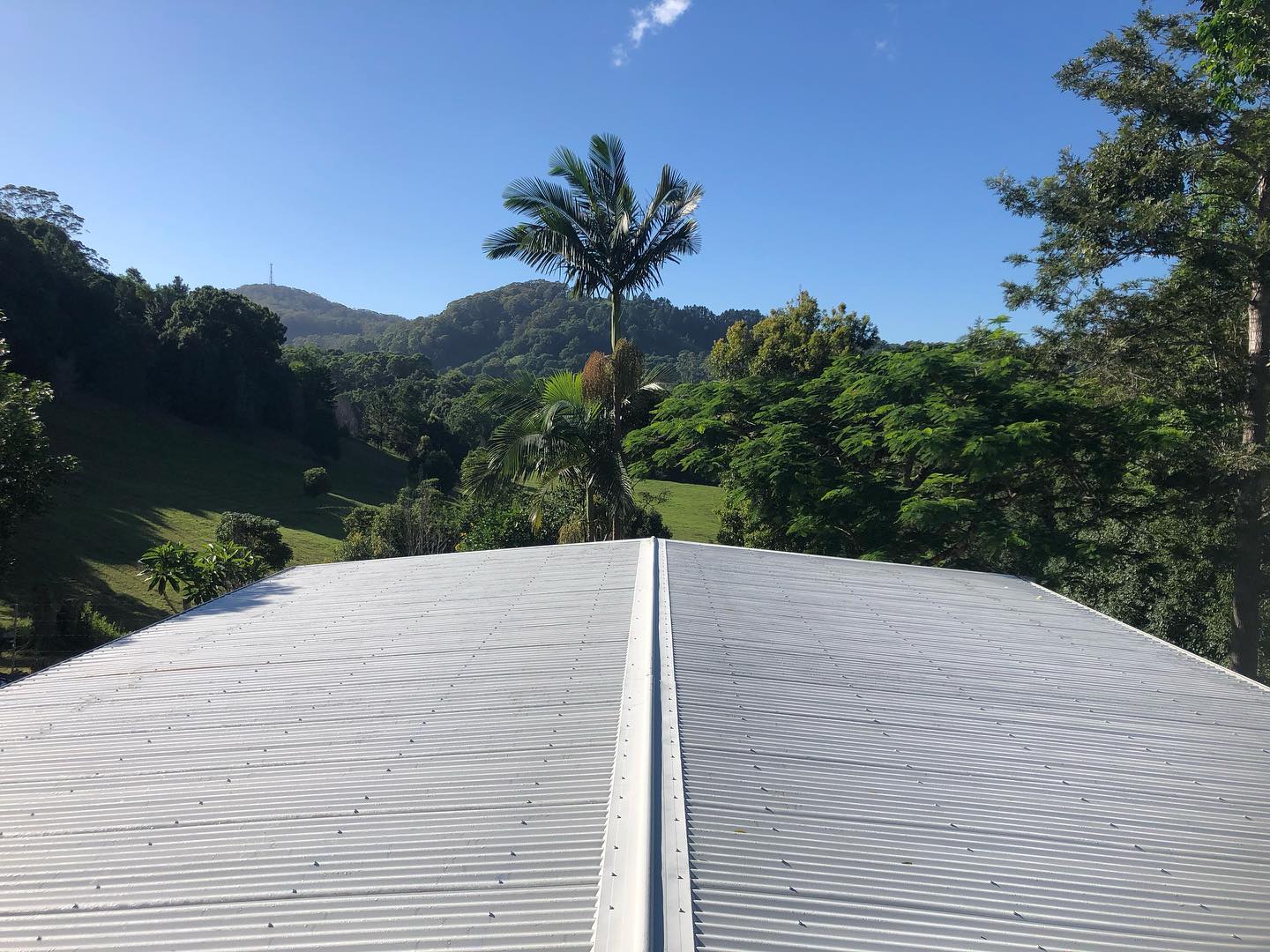 Coast Mountain Building — new metal roof installation with lush subtropical backdrop